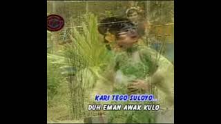 Download lagu stasiun argopuro - erwin mareta mp3