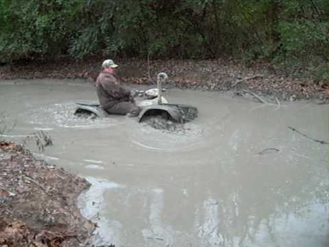 Rhino and Rincon..AVI