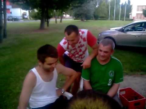 Stole, sokoliću moj