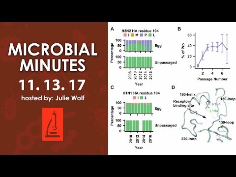 Dengue, Plague, and the human microbiome project - Microbial Minutes