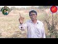 Kalahandikalakar Biranchisahu Aelajor