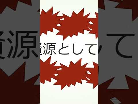 観光政策学科 2025年11月9日