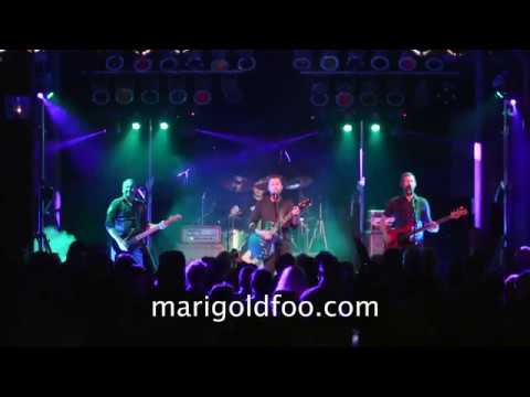 Marigold - Foo Fighters Tribute Band Promo Video