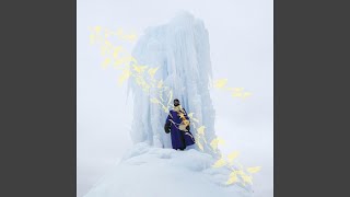 Parrots in the Tropical Trees