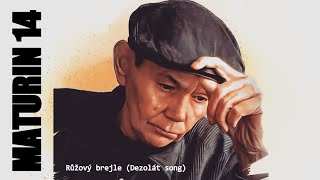 Video MATURIN 14 - Růžový brejle (Dezolát song)