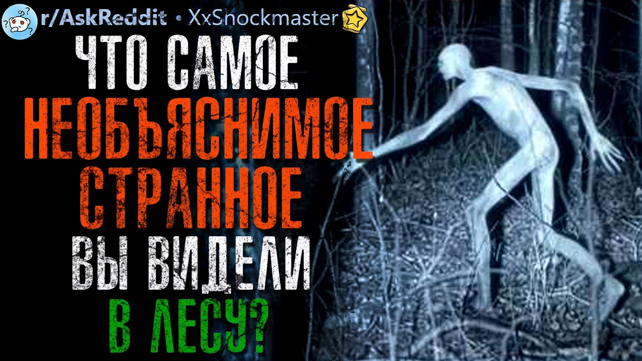 Что Самое Странное/Страшное Вы Видели в ЛЕСУ? #7