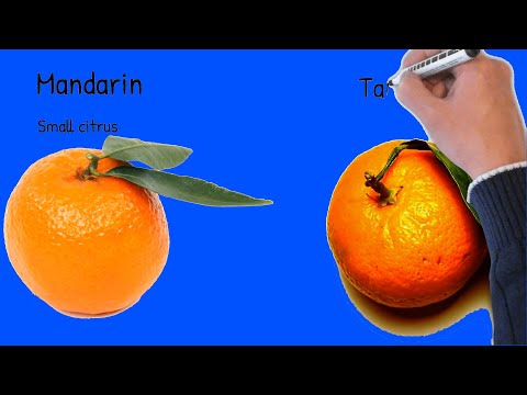 Mandarin  Health effects; Mandarin vs Tangerine