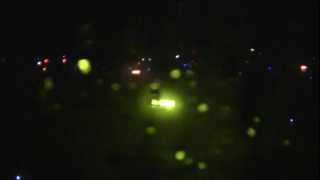 preview picture of video 'Boeing 777-300 Thai airways-TG221-night landing in Phuket airport with heavy rain -04.03.2012'