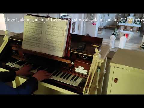 JKS 312a - Raduj sa, nebies Kráľovná