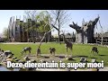 Deze Dierentuin is echt mooi! | DierenPark Blijdorp PlanetZoo