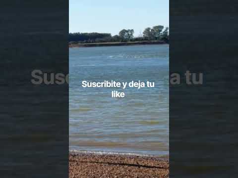 Colonia Ayui Entre Ríos