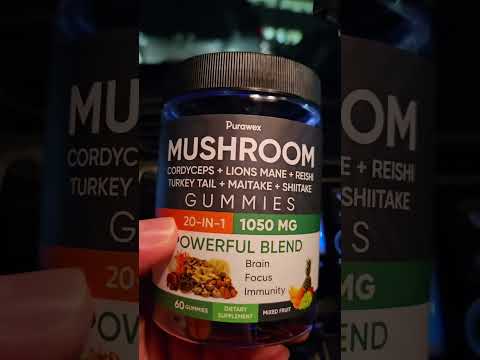 Boost Your Focus with Mushroom Gummies! #brainsupport #mushrooms
