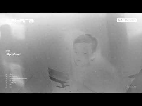 pirKS - p0ppy5eed [ZTR001/VA]