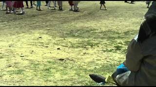 cosmesti 2012 festivalul international al fanfarelor 28