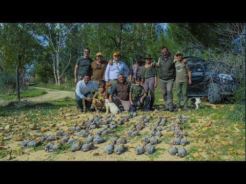 Seguridad, familia y caza