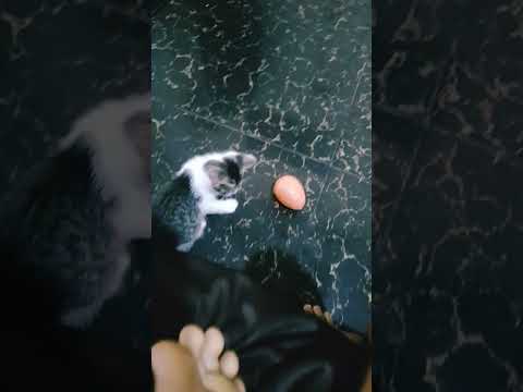 5 de febrero de 2025