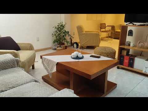 Video de YouTube - Apartamento en Alquiler de 3 dormitorios con  Parrillero en Parque Rodó, Montevideo