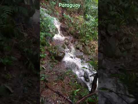 #paraguay #guaira #villarica #independencia #colonia #garay #trekking #travel #narure #cerros #feed