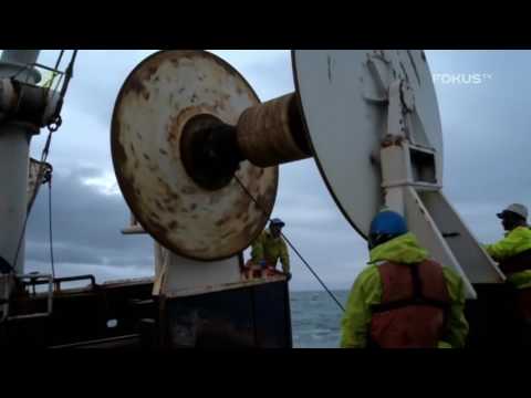 Najgroźniejsze morza 1 3 Morze Beringa