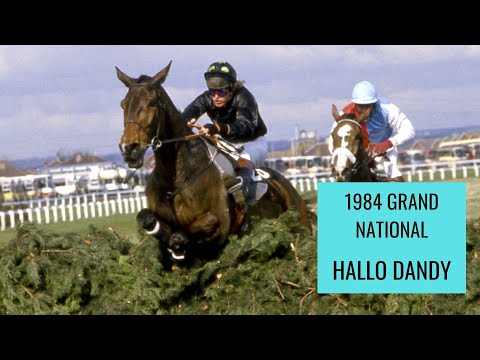 1984 Grand National Steeplechase | Hallo Dandy