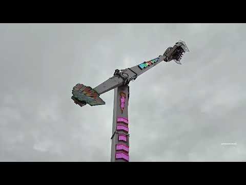 No Limit at the Spring Fiesta 2024