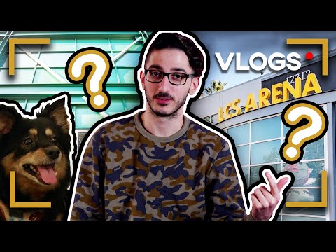 V1PER'S WORST HABIT, EXPOSED (FT. KURICHAN the pup) | FLYVLOGS