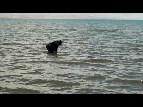 Manasarovar Dip by Arun Vasanthi V-Clip11 of 42