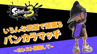 【スプラトゥーン3】眠れないのでてきとーにおーぷん