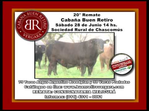 Cabaña Buen Retiro dará su clásico remate en Chascomús el sábado 28 de Junio