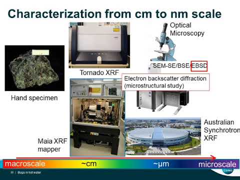 GSA-WA July speaker 2019 - Siyu Hu - Bugs in hot water: Mineralisation at hydrothermal chimneys