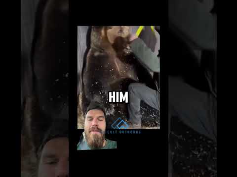 Aww he said thank you! #bear #bears #russia #outdoors #animal #animals #nature #wildlife #russian