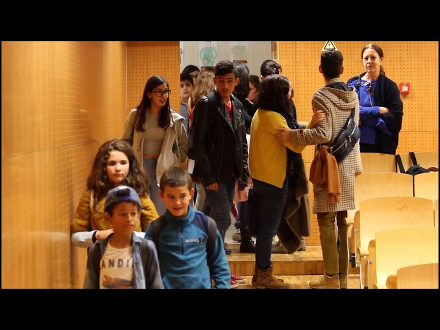 imagem ilustrativa da atividade