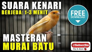 Download lagu MASTERAN MURAI BATU SUARA KENARI berjeda 1 2 agar ... mp3