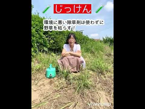 雑草の根を枯らす天然除草剤を発見しましょう！  庭園