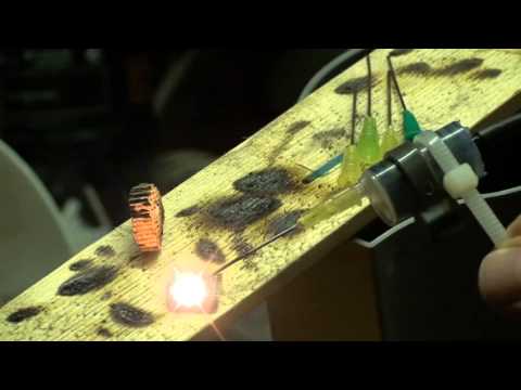 CAT to LENR apèroach 7 wmv