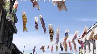 川越市 /主婦の休日/お散歩/お買いもの/春