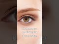 The Human Eye's Color Vision