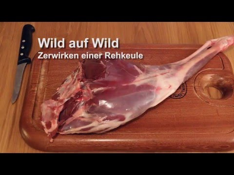 Das Antitoxin nano von gribka der Nägel Gribok der Nägel die neuen Präparate