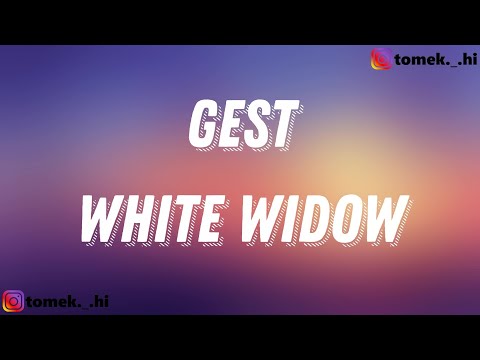 WHITE WIDOW - GEST (TEKST/LYRICS)