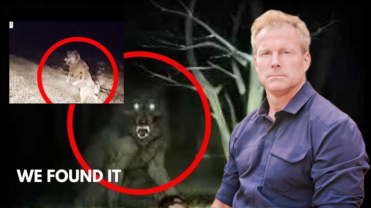 YouTube Thumbnail Downloader FULL HQ IMAGE