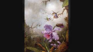 Joyce, Docura Forte-Agua E Luz, Martin Johnson Heade
