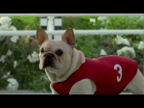 Funny Commercial - A2