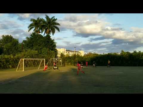 Dylan Reus - PSG Miami Goalkeeper U12 / U13