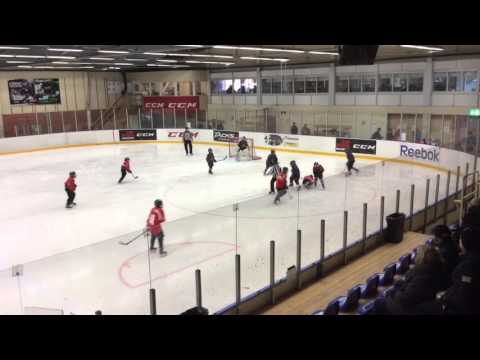 Tumba Challenge Cup 2016 - Final, Haninge Anchors-Täby HC team 06 2-6 (0-5), 20160417