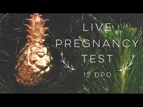 LIVE PREGNANCY TEST | 12dpo Video