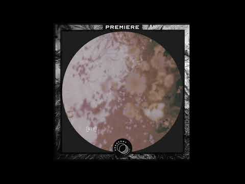 PREMIERE: Noah Lyas - Reflections LP [ST030]