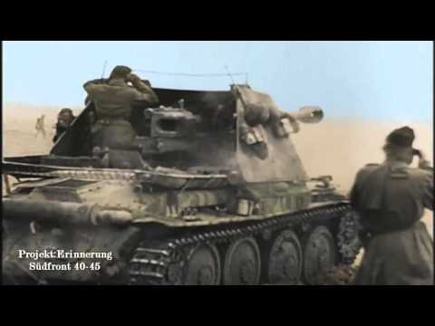 P:E Tunisfeldzug/Tunisia Campaign 1943