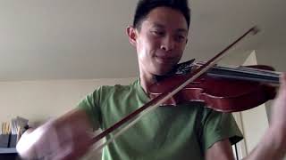 glitch mob - enter formless.  cover / accompaniment / jamming / violin
