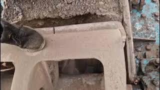 Powerscreen PT290 trituradora de rotor | Imagen 4 - Machineryline