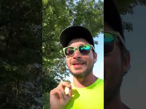 How much financial trouble is Texas and Florida in?